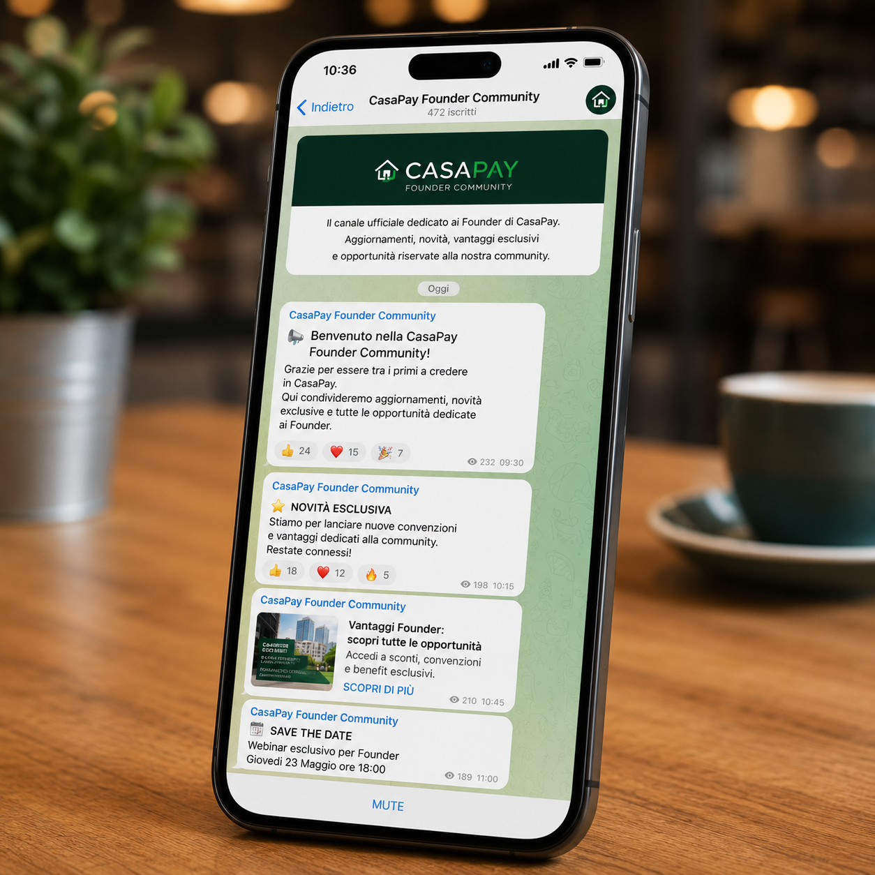 canale telegram